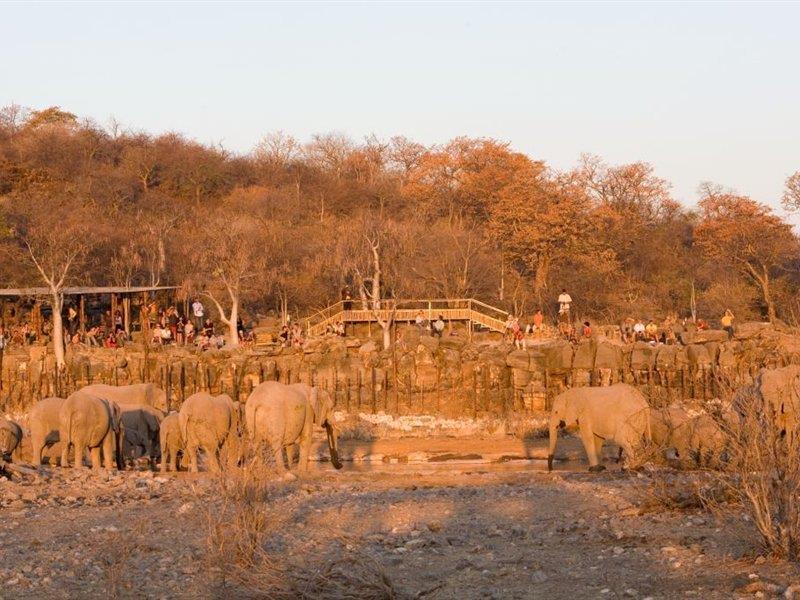 Halali Camp Hotel Etosha ภายนอก รูปภาพ